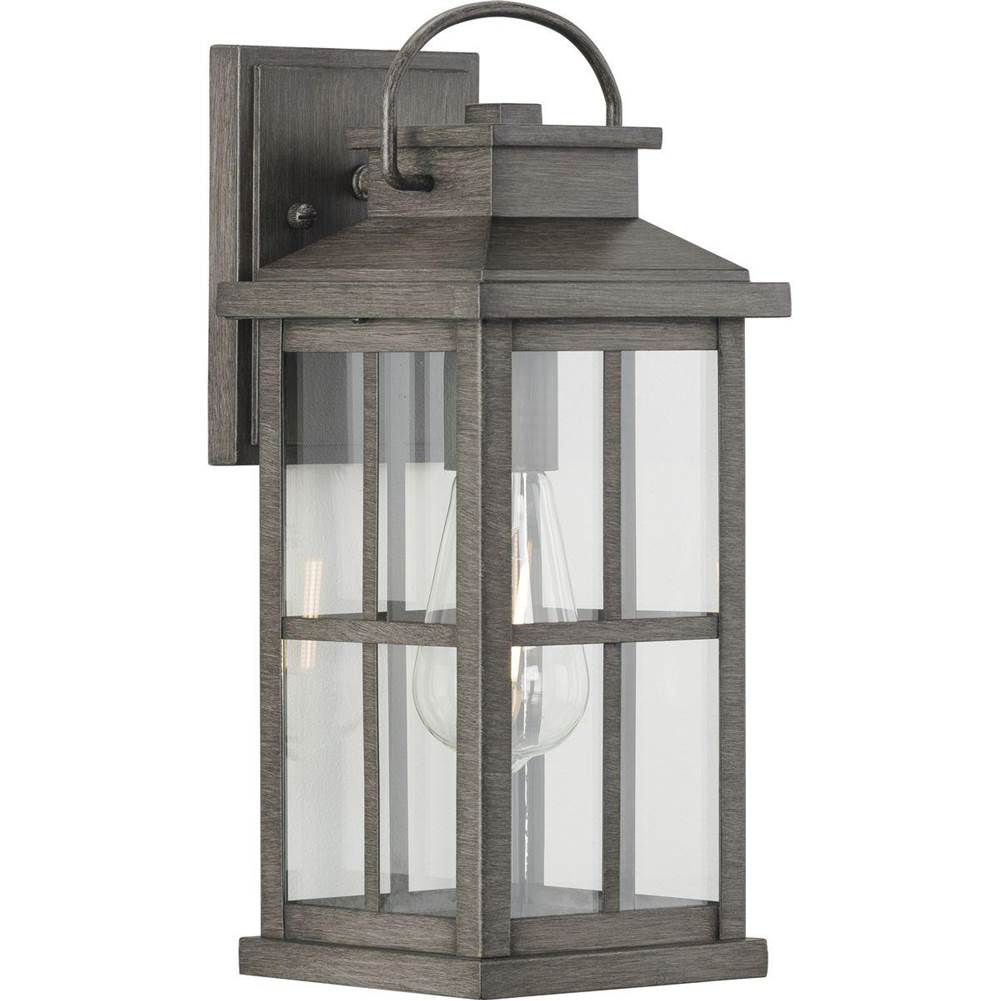 Progress Lighting Williamston Collection One-Light Antique Pewter and Clear Glass Transitional Style Medium Outdoor Wall Lantern