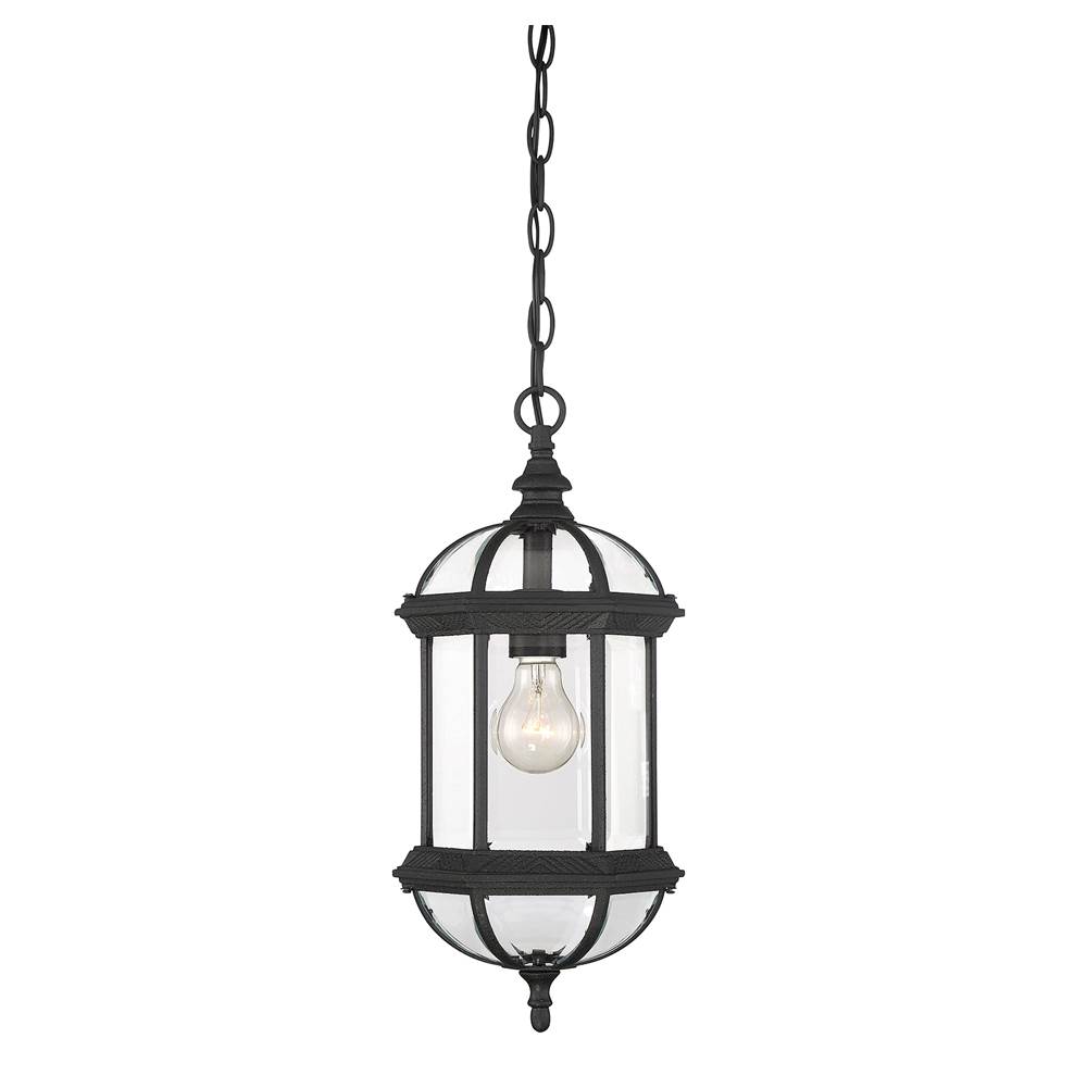 Savoy House Kensington 1-Light Outdoor Hanging Lantern in Textured Black